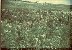 Image description is not available for PHO-4-W689-943